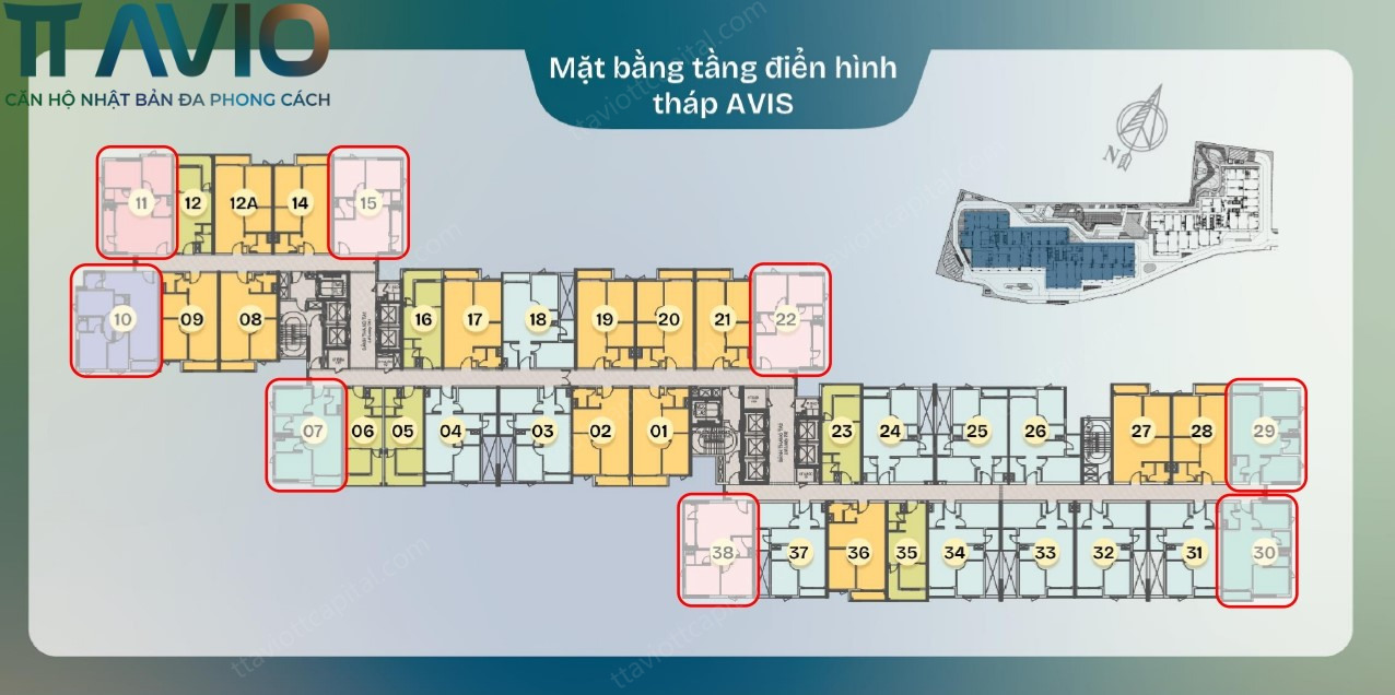 Thiết Kế Mặt Bằng Tháp Avis – Tối Ưu Căn Góc, Tối Đa Hướng Nhìn