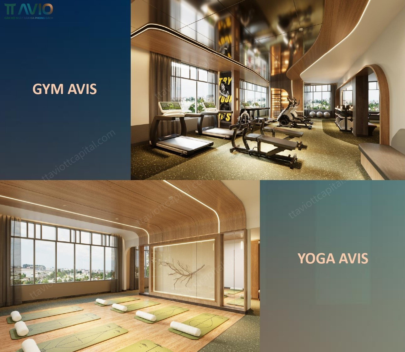 Phòng Gym & Yoga – Tầng 3 Tháp Avis